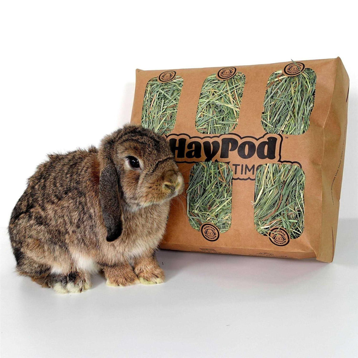 Timothy Hay for Guinea Pigs Rabbits D8662
