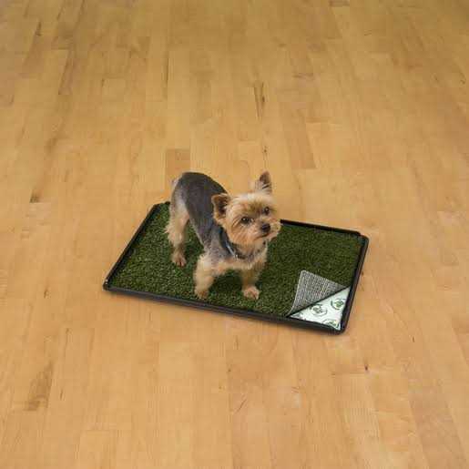 Indoor Turf Dog Potty R9957