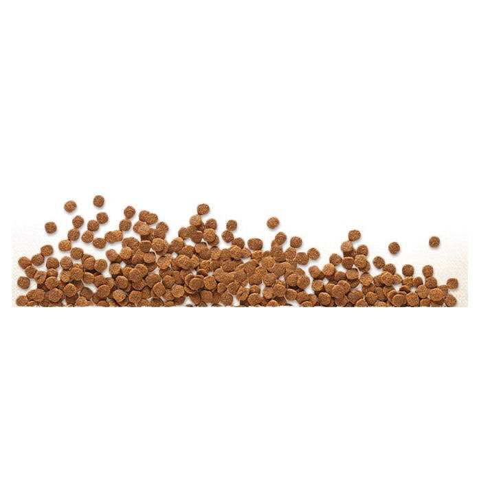 Chicken Meal & Chickpeas Grain Free Dry Dog Food G405509