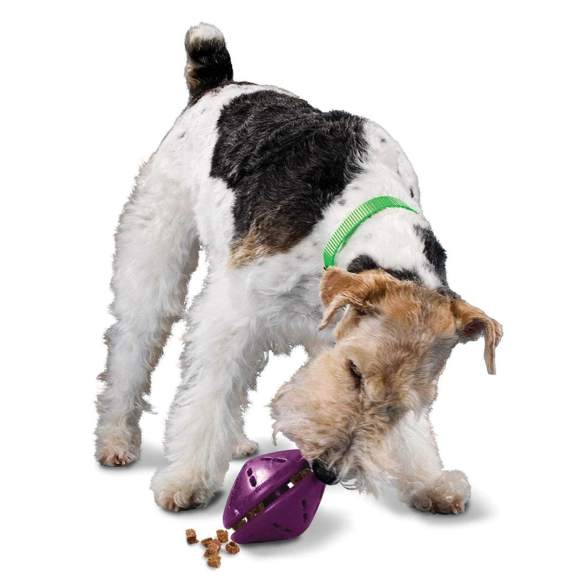 Dog Toy T87398