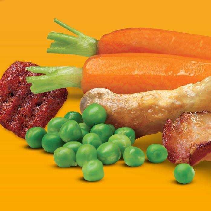 Chicken Adult Dry Dog Food J49712