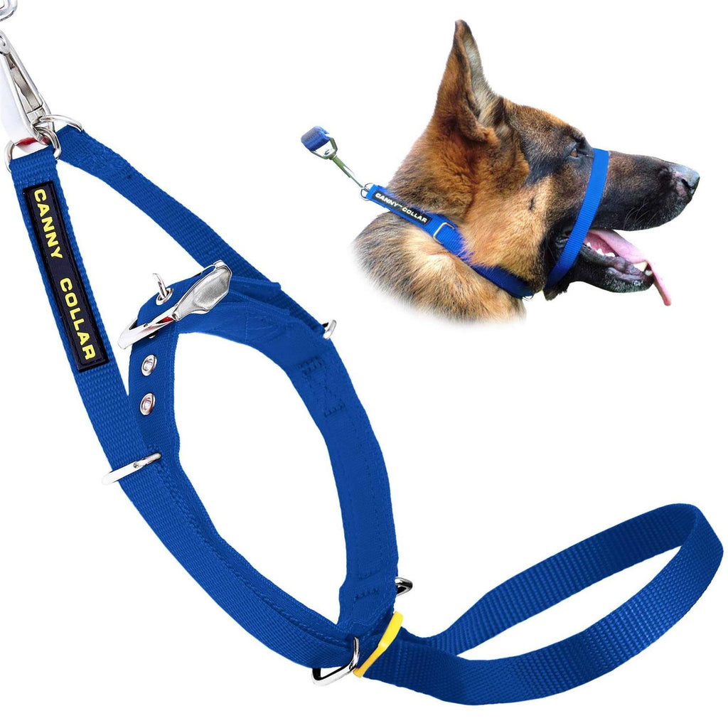 No Pull Padded Dog Training Head Collar H614571