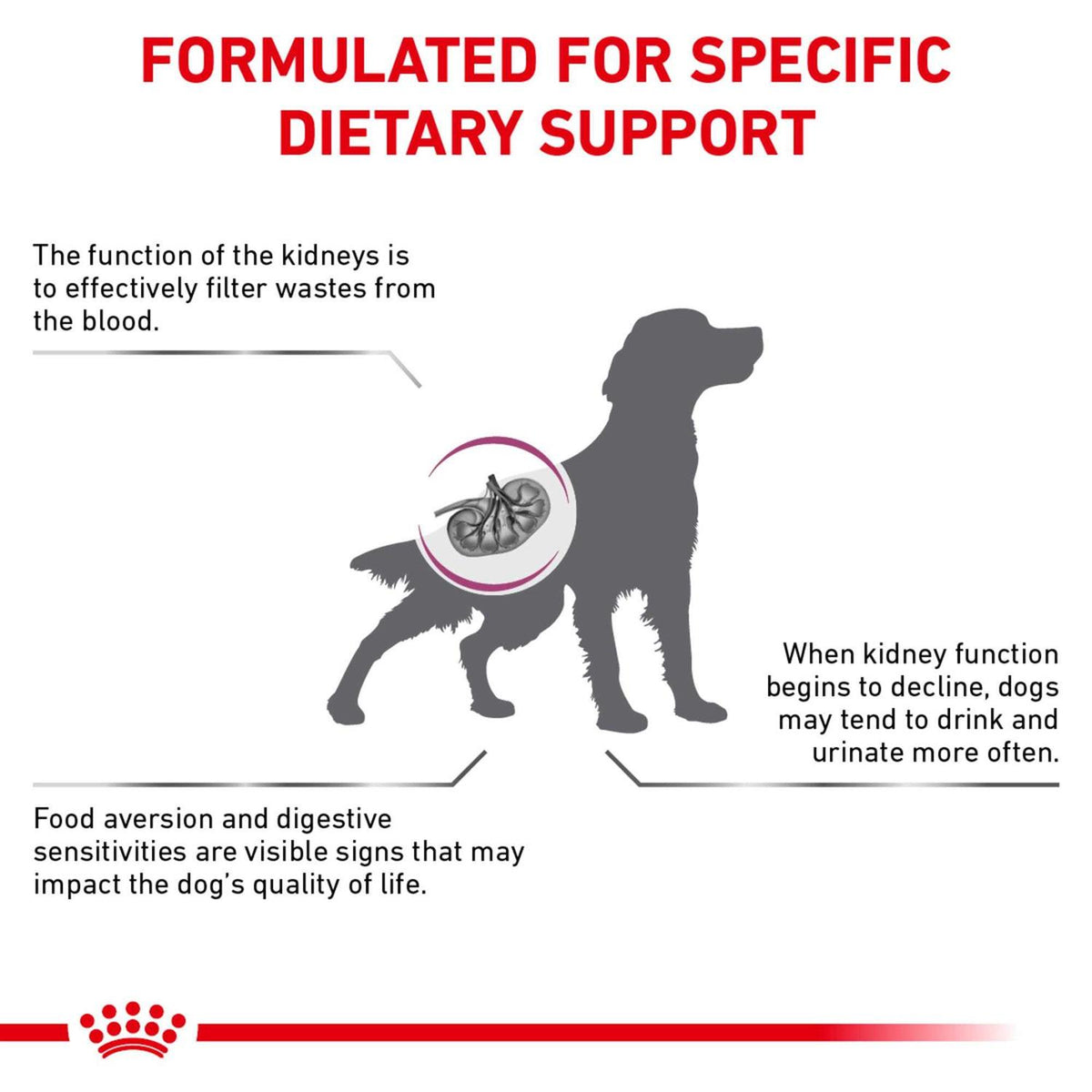 Veterinary Diet Renal Support Dry Dog Food O468
