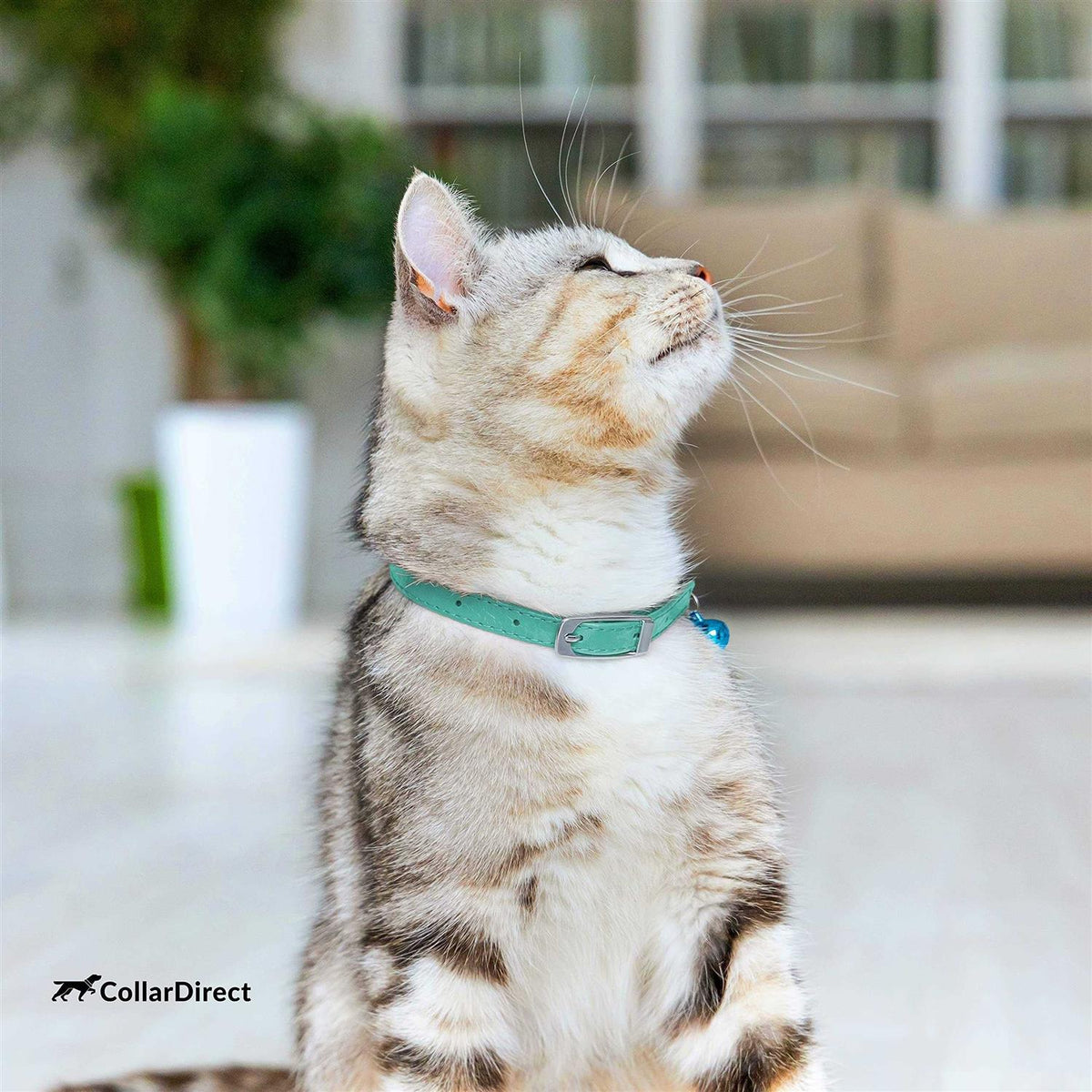 Leather Cat Collar with Bell N8598