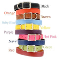 Leather Dog Collar E883787