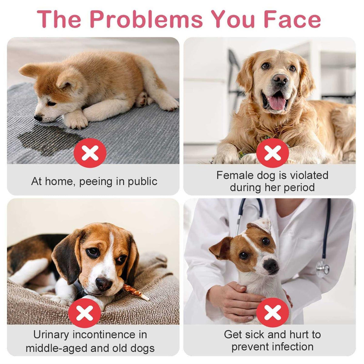 Disposable Female Dog Diapers with Adjustable Elastic Waistline Z940