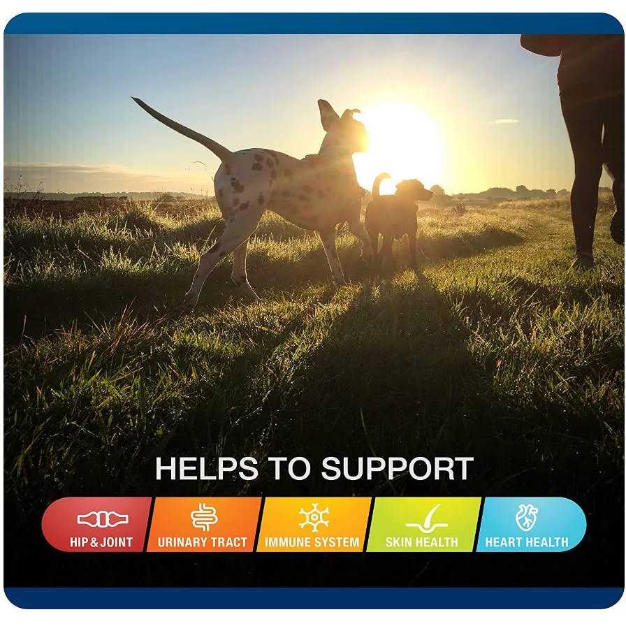 Soft Chews for Dogs A12788
