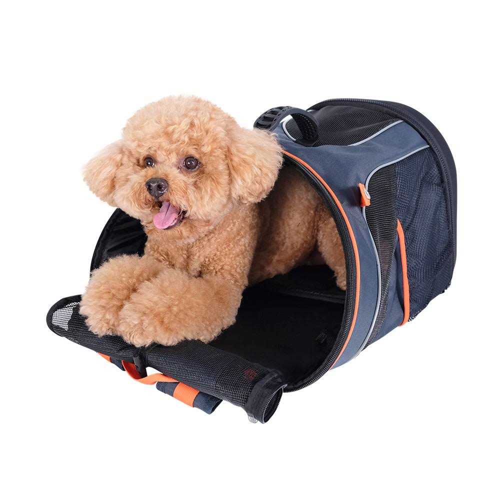 Backpack Carrier T255382