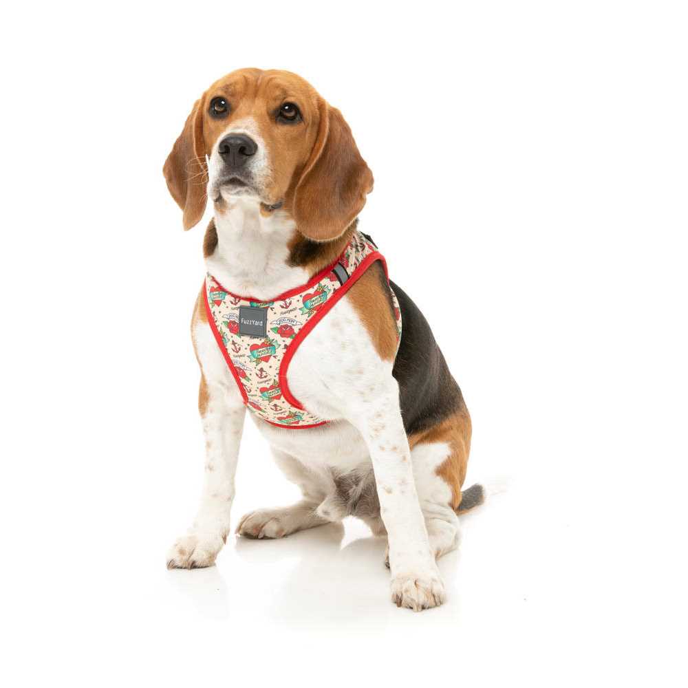 Step Harness R2727