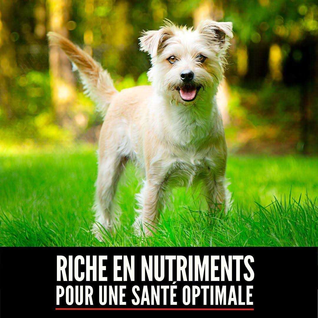 Small Breed Dry Dog Food G24237