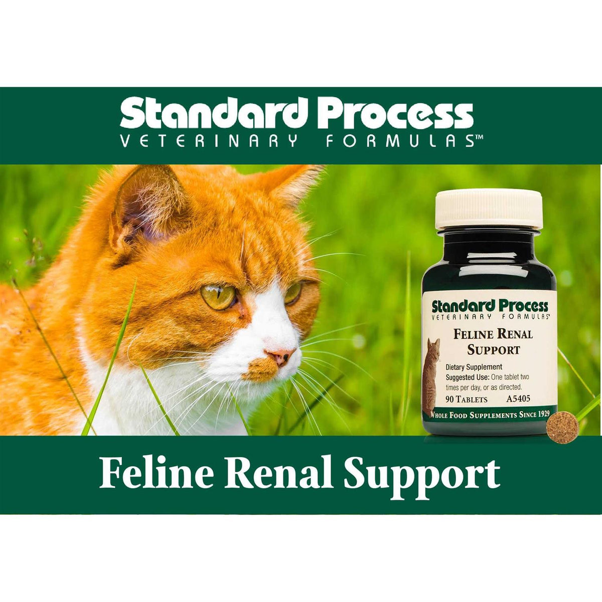 Renal Support K284110