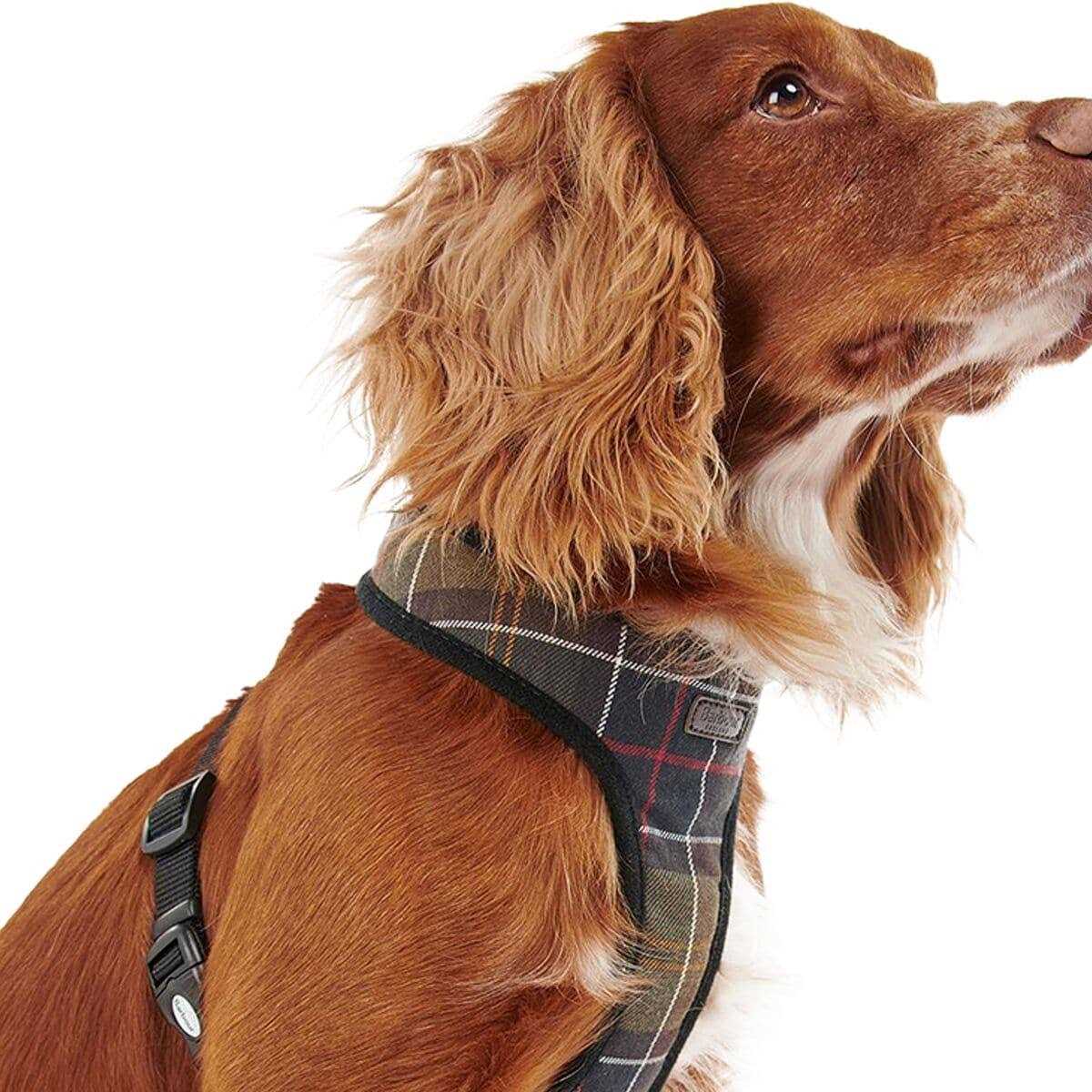 Tartan Dog Harness E5215
