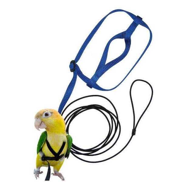 Bird Harness and Leash H112