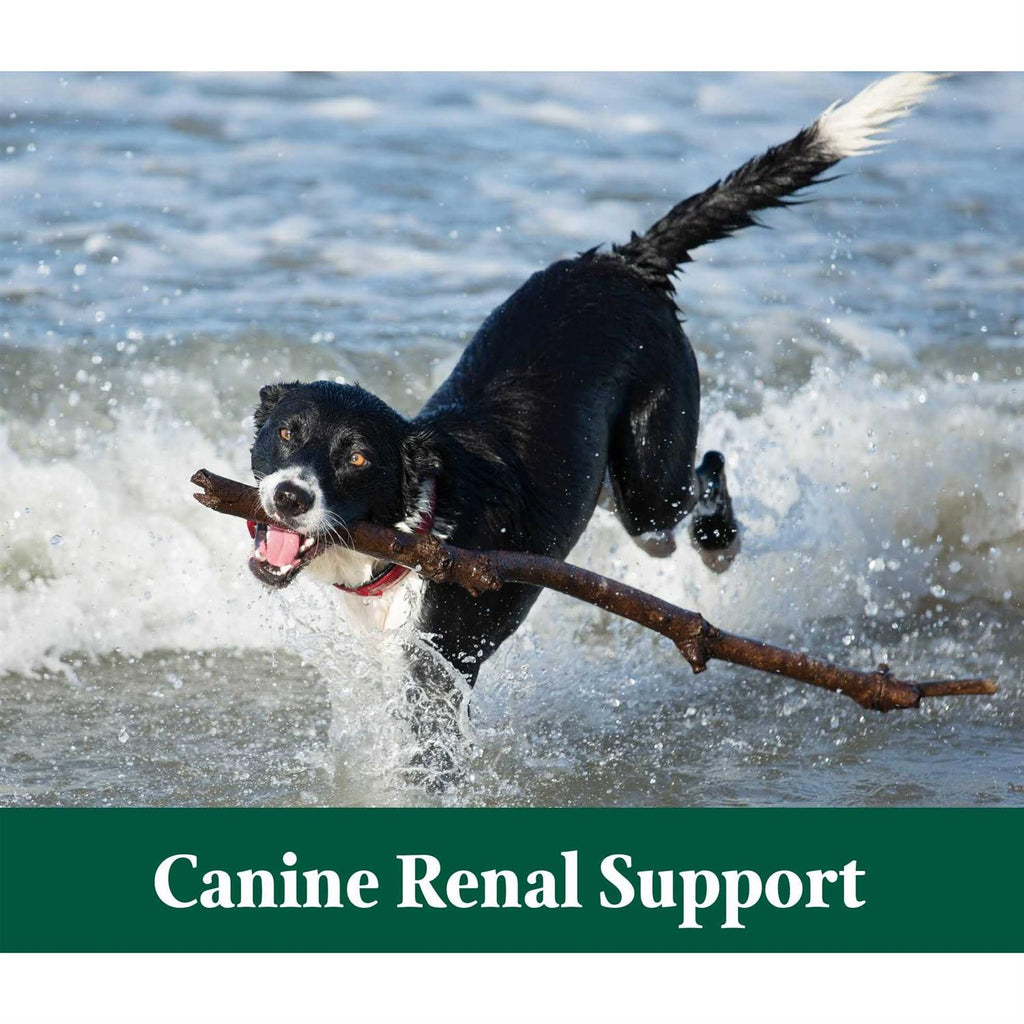 Renal Support 3.9 oz P5808