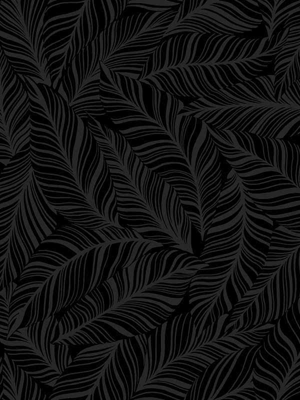 Black Rainforest Canopy Wallpaper P356