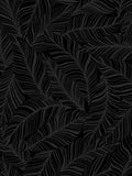 Black Rainforest Canopy Wallpaper P356