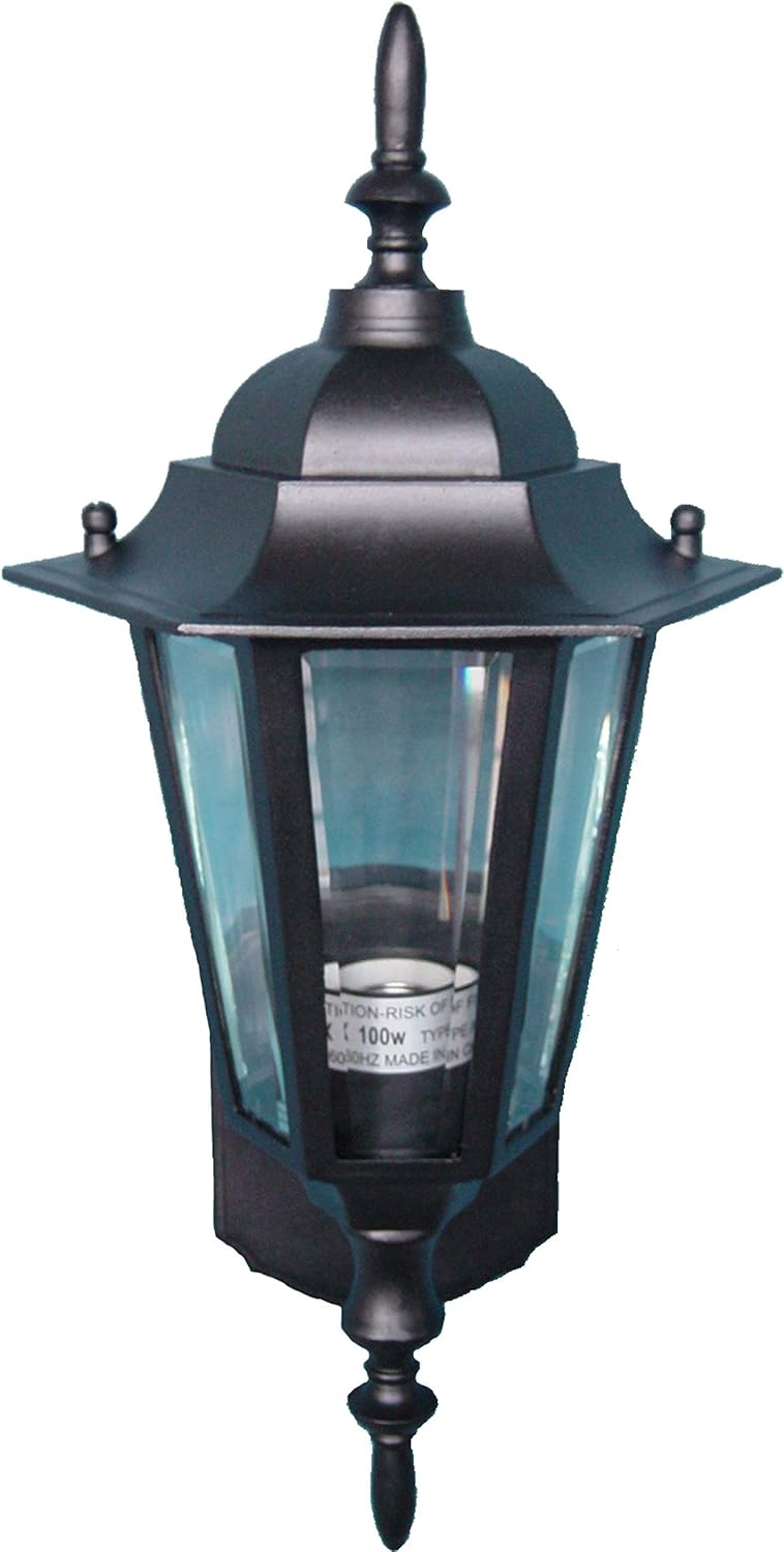 Black 1-Light Outdoor Wall Sconce Z9439