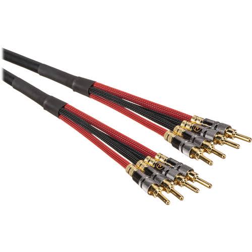 Speaker Cable 4 Banana to 4 Banana E41846
