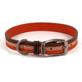 Orange Dog Collar Large P55800