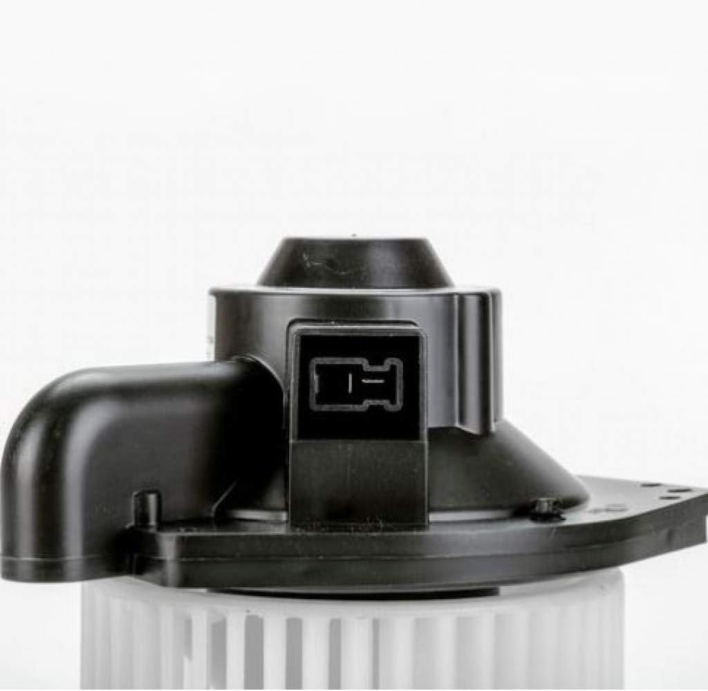 Blower Motor Assembly Z169102