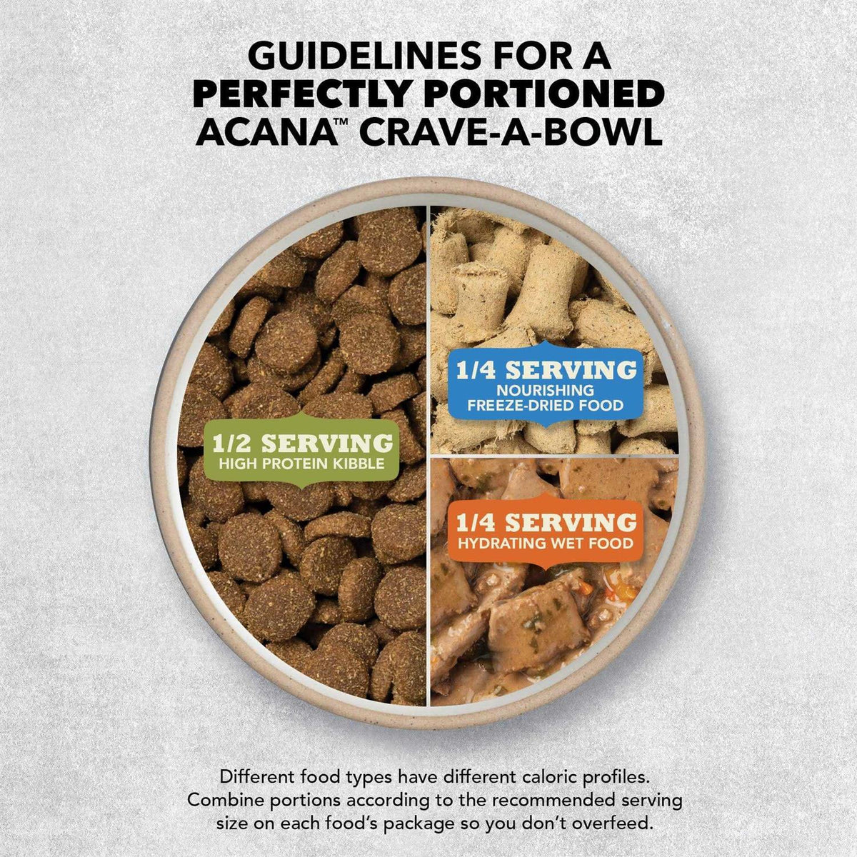 Dry Dog Food S593005