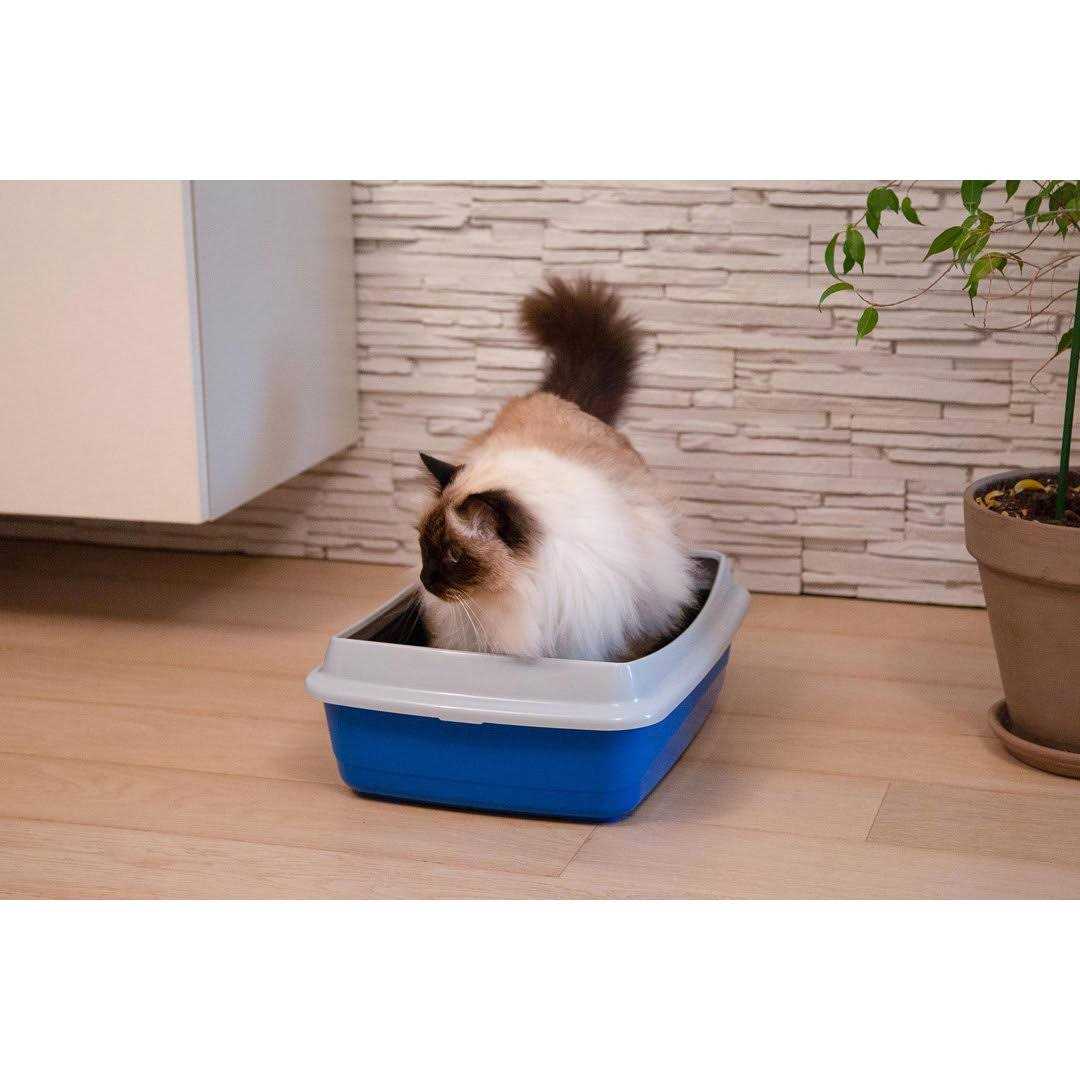 Litter Box with Litter Guard Z122