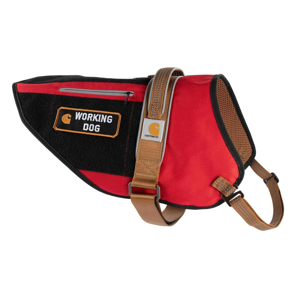 Service Dog Harness A846172
