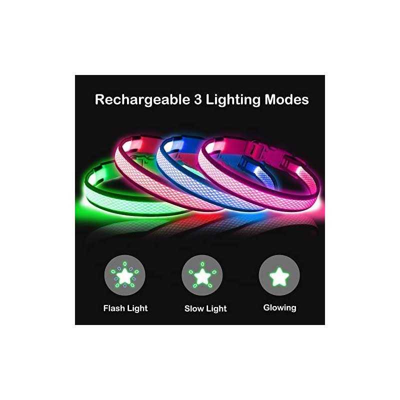 LED USB Rechargeable Dog Collar T3662