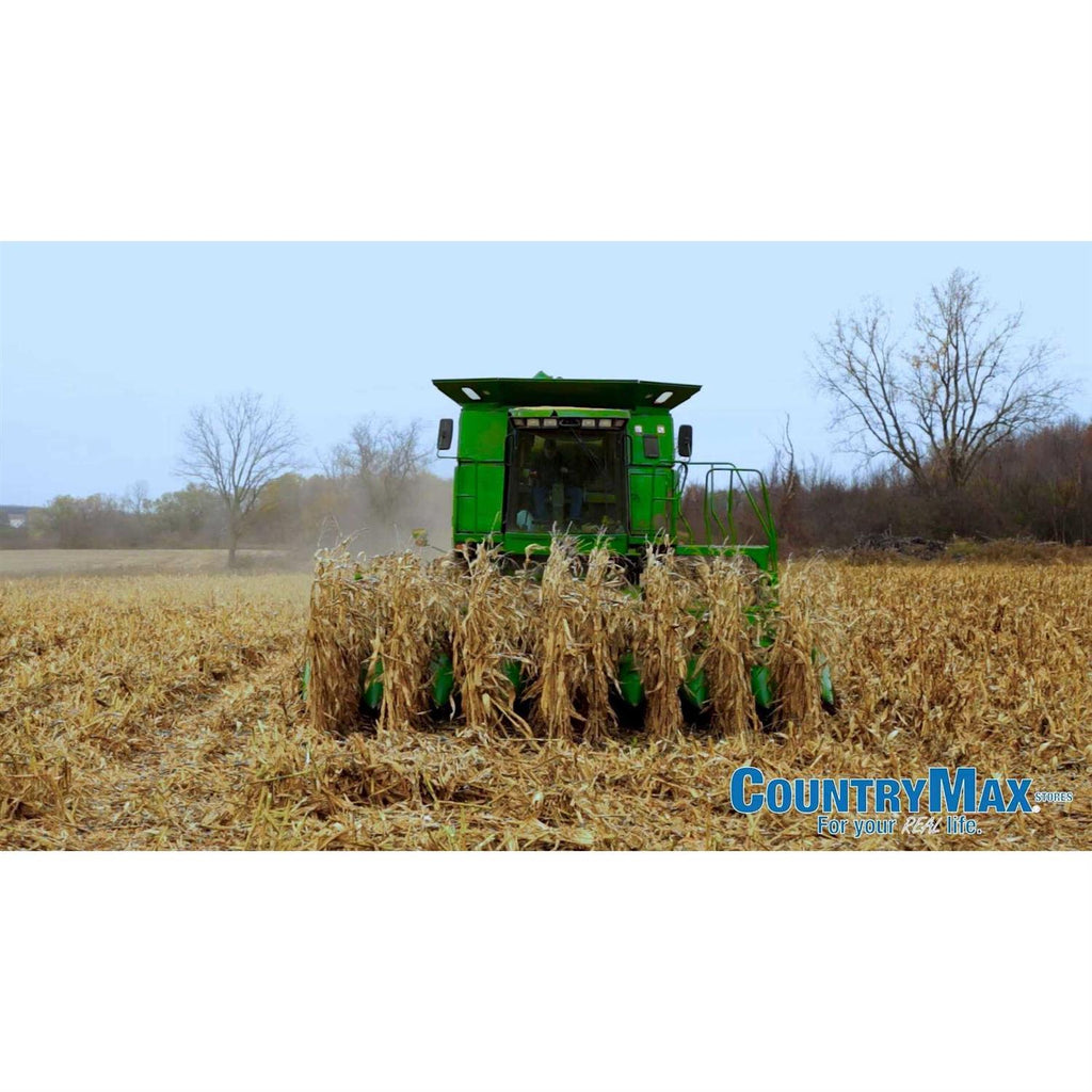Whole Corn for Wildlife Feeding R43532