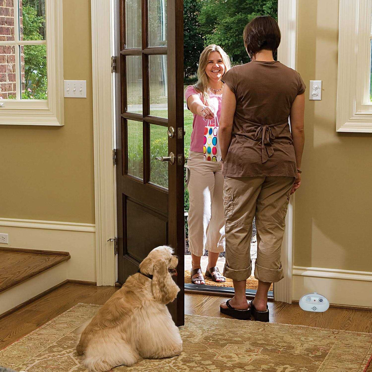 Indoor Ultrasonic Bark Control J15213