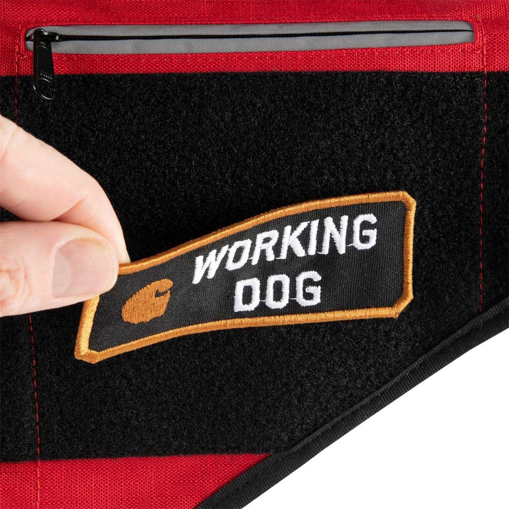 Service Dog Harness A846172