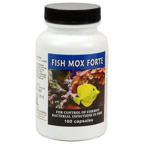 500 mg 100 Capsules Z37798
