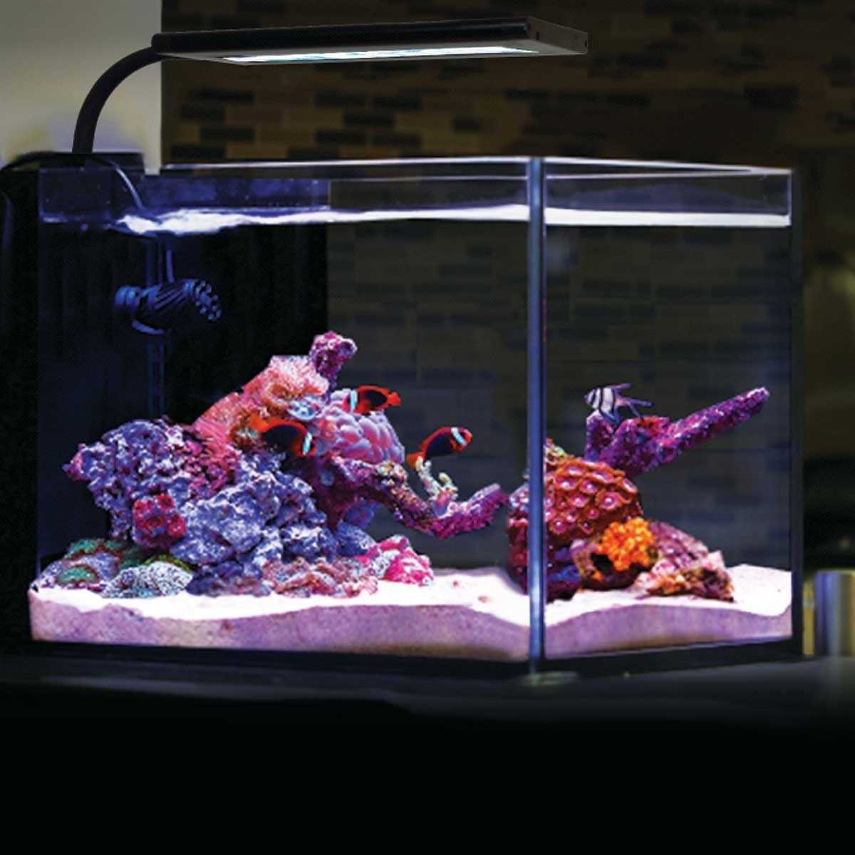 NANO LED Light with Gooseneck Mount F57452