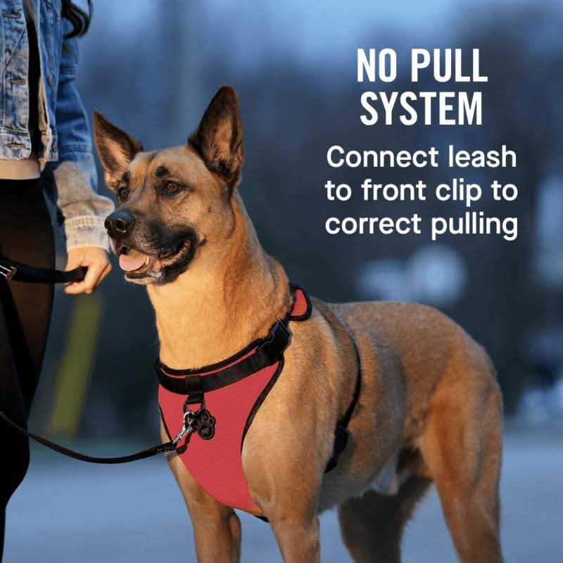 Dog Harness H5893