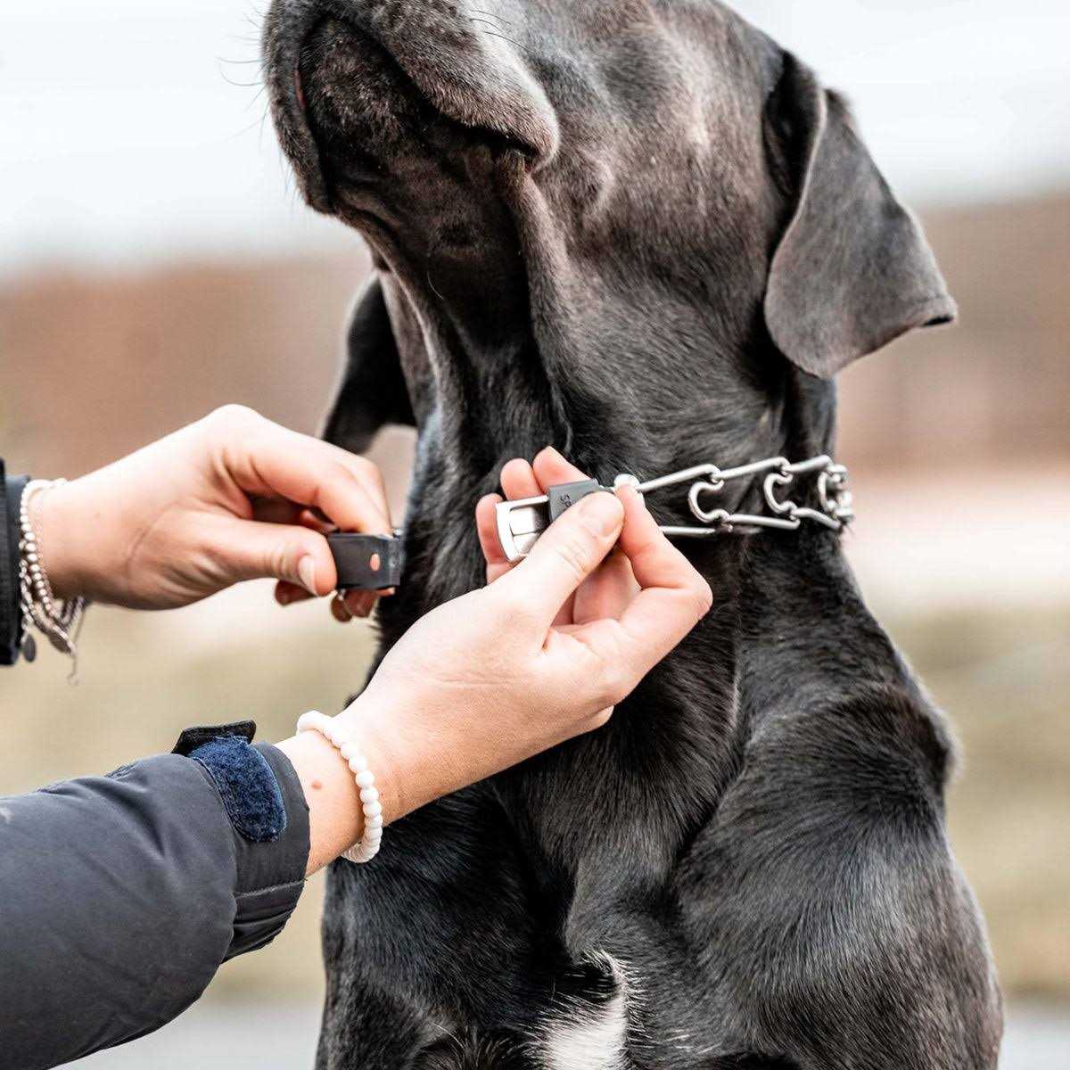 Stainless Steel Quick Release Buckle for Dog Collar A217