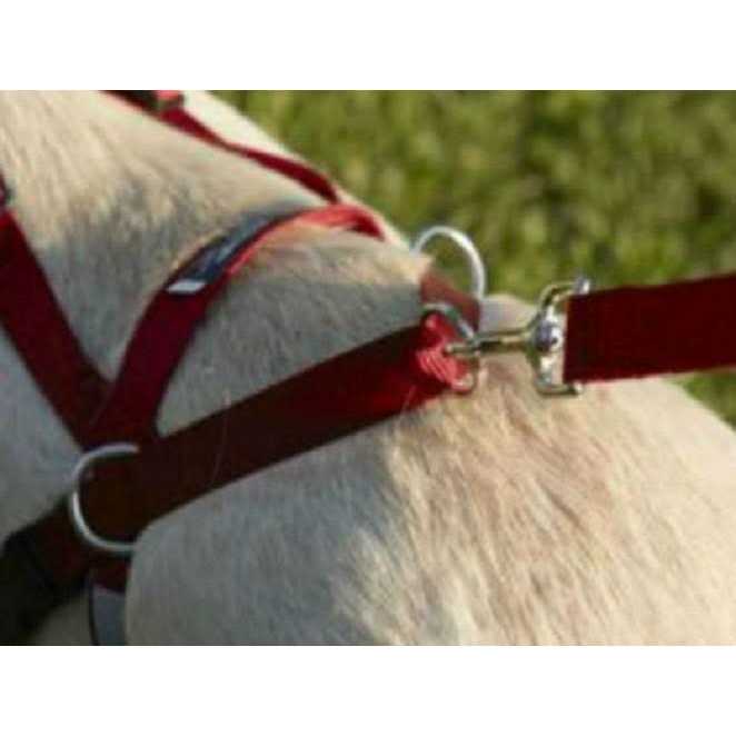 Harness M411885