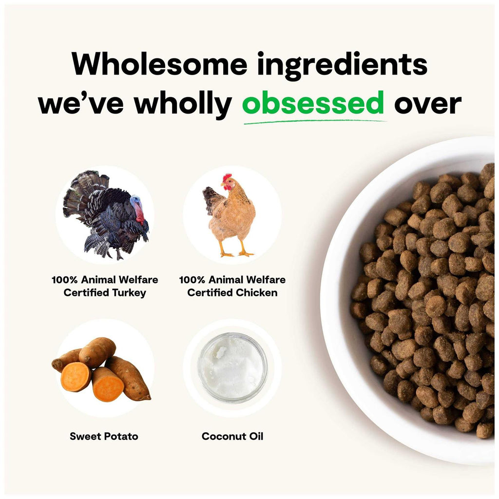 Grain-Free Dry Dog Food I66040