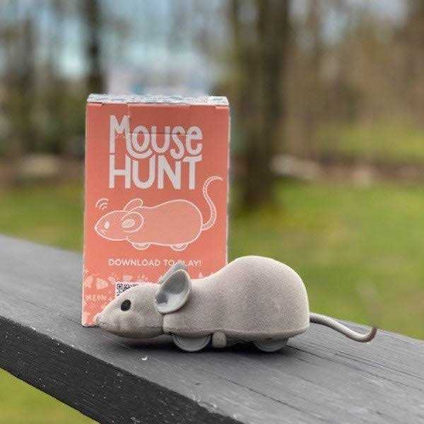 Cat Toy K465701