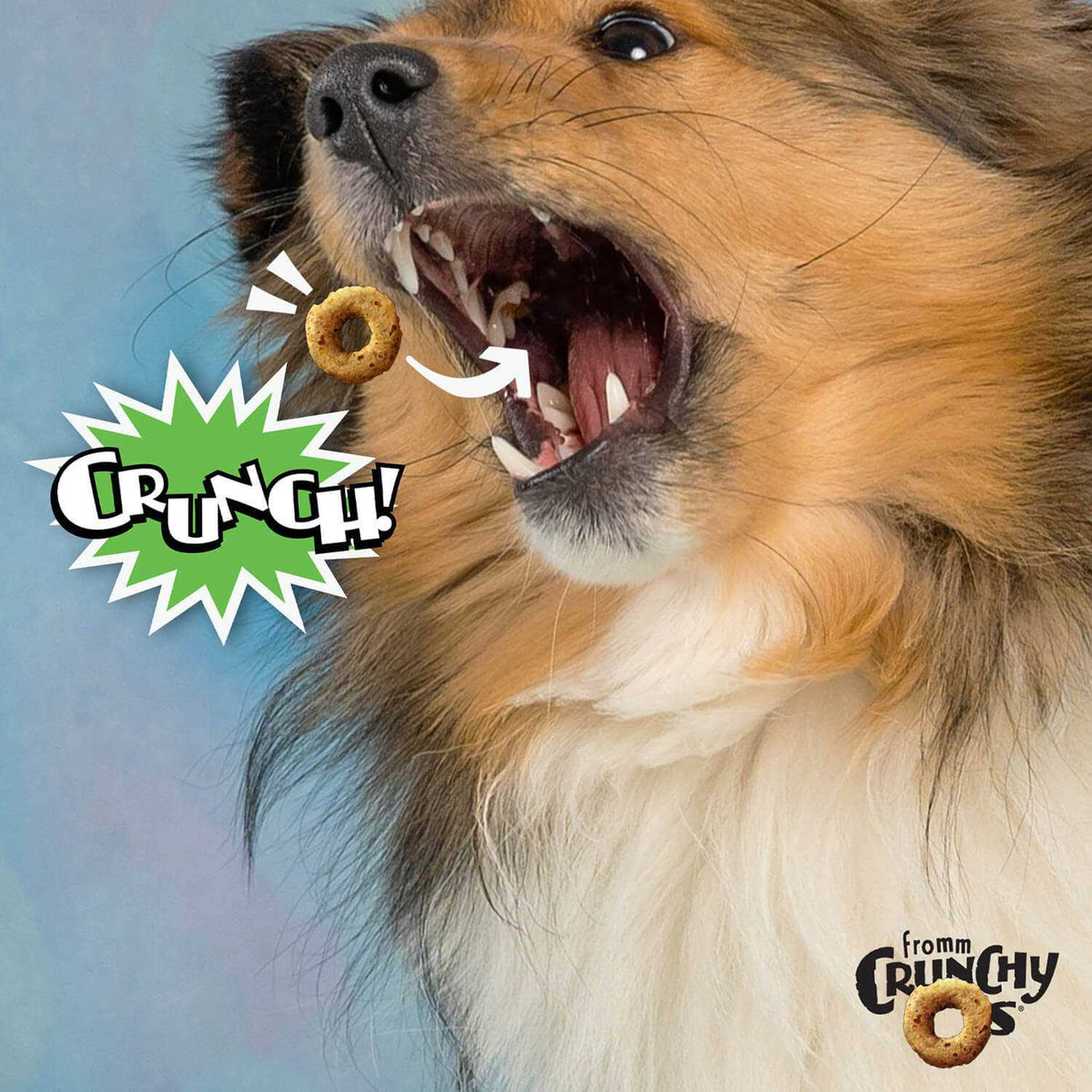 Dog Treats X54722