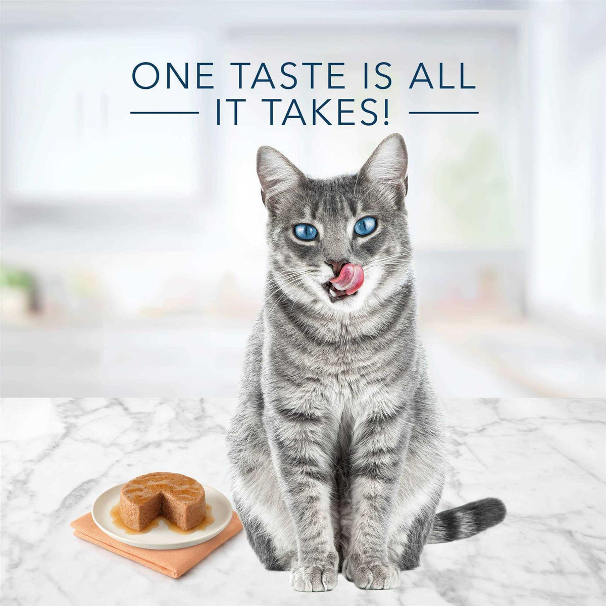 Chicken Salmon & Tuna Wet Cat Food Variety Pack G313896