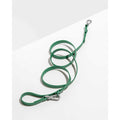 Dog Leash N37080