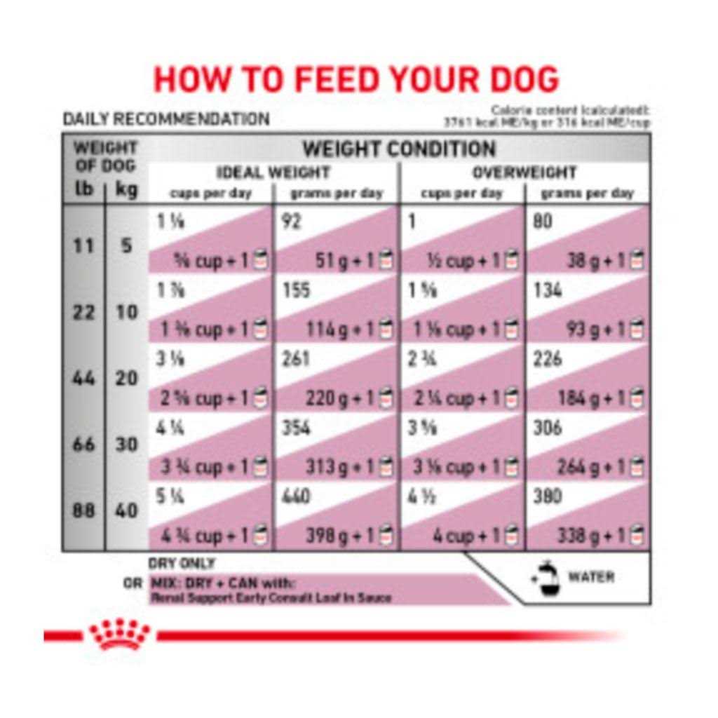 Veterinary Diet Canine Renal Support Dry Dog Food G5028