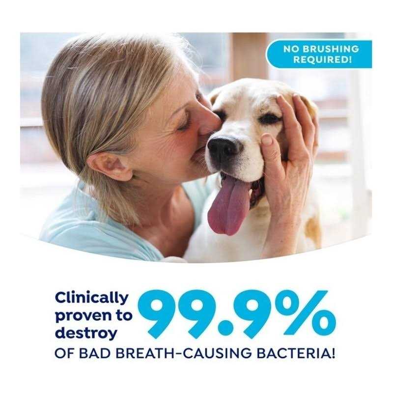 Fresh Dental Gel Toothpaste for Dogs & Cats A818