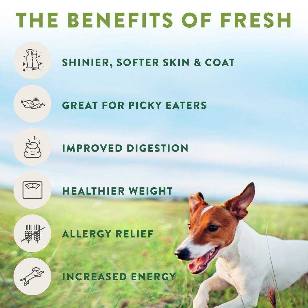 Chicken Recipe Dog Food Roll U397975