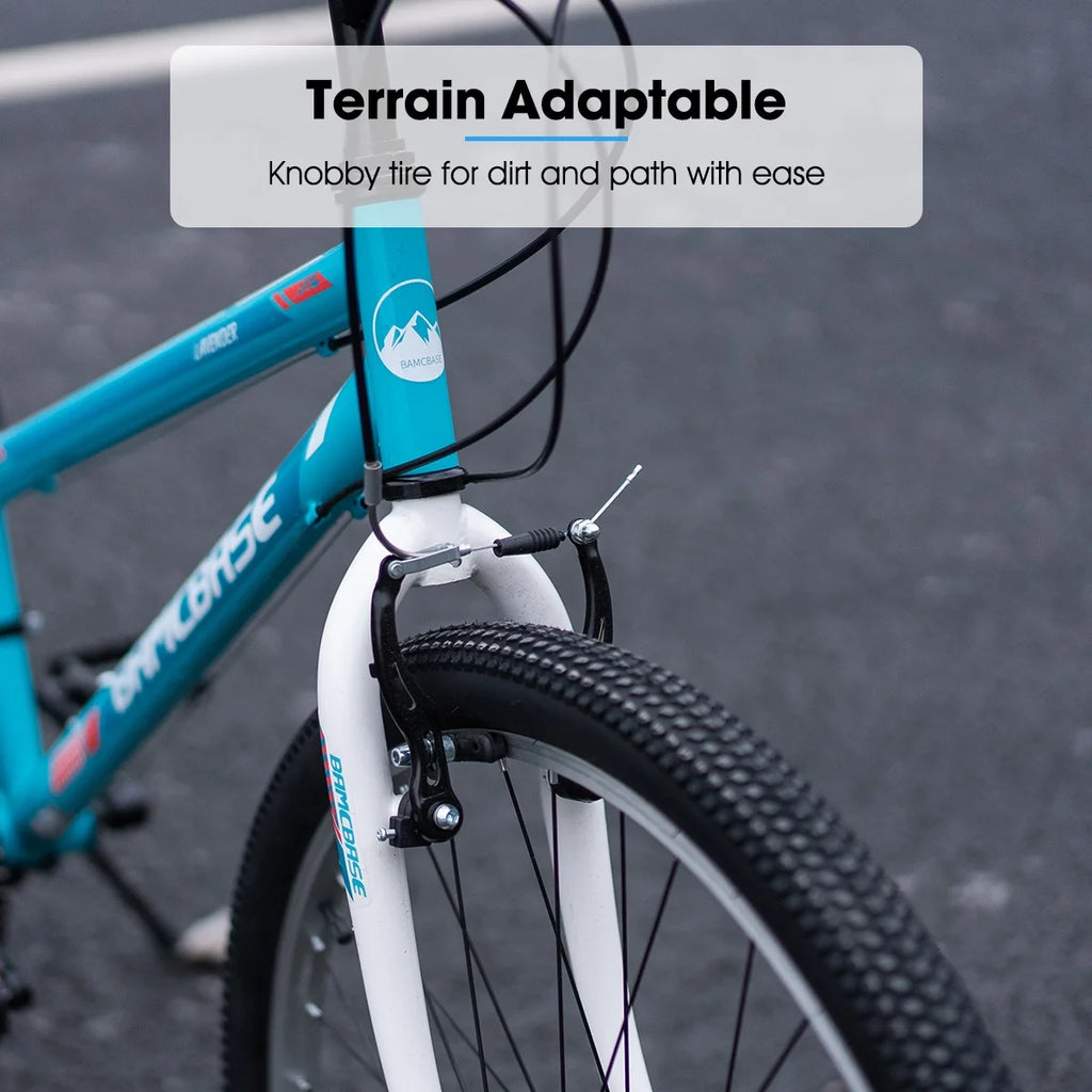 24 26 inch Mountain Bike 21 Speeds M5367