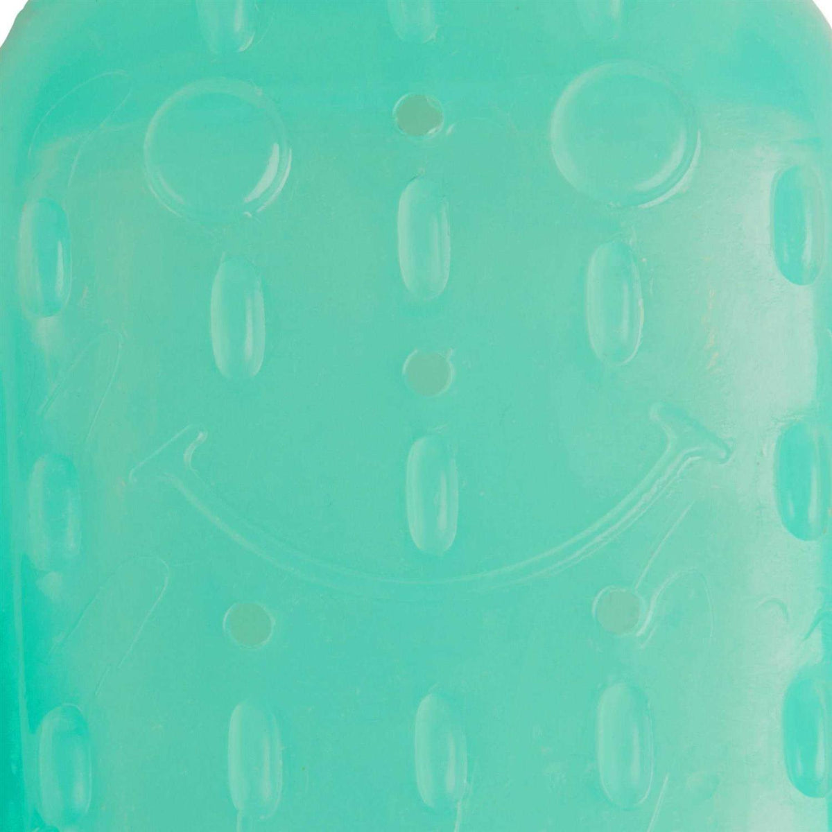 Cactus Chew Ring Dog Toy P76346