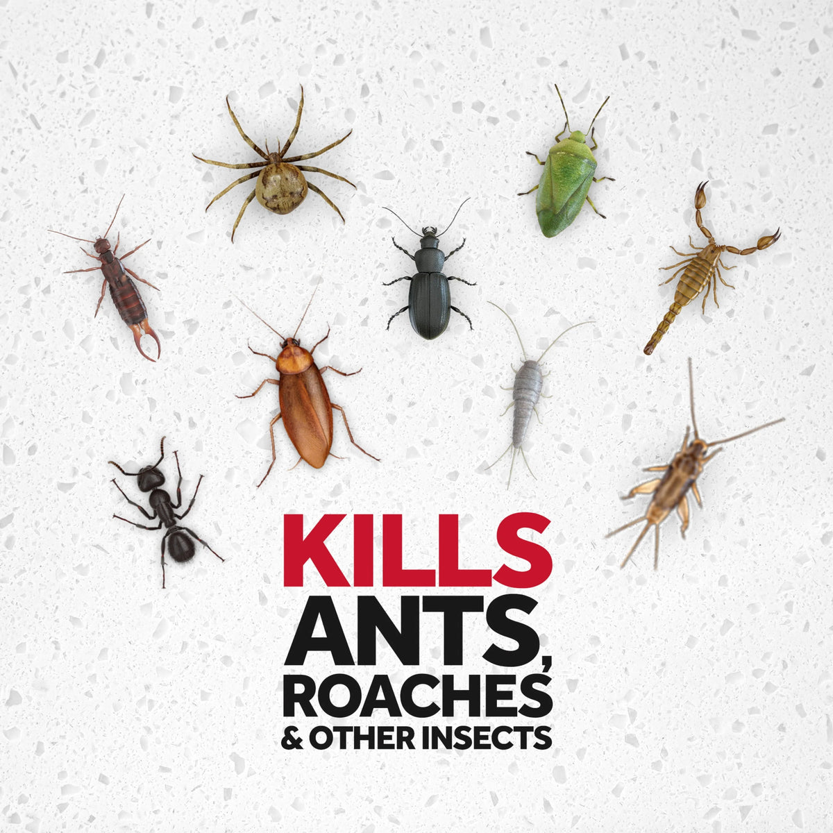 Fragrance-Free Insect Killer Spray 20 oz 2 Count A75041