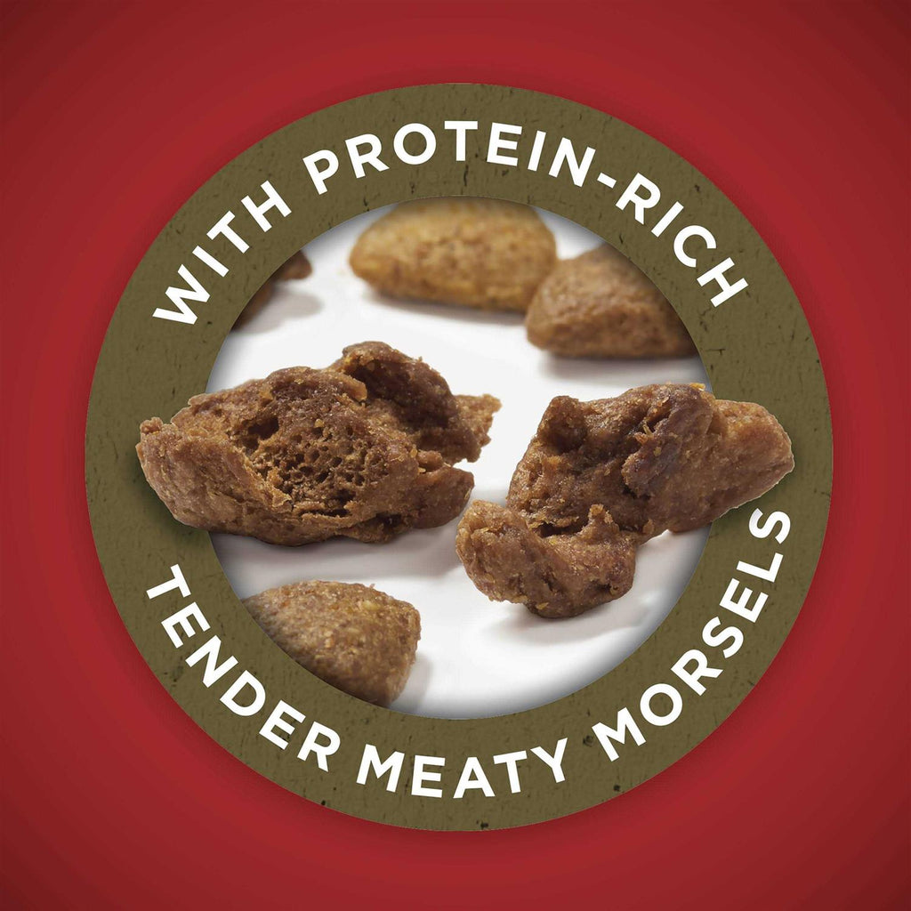 Lamb & Rice Dry Dog Food R92279