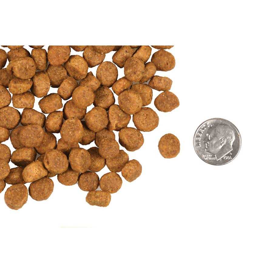 Large Breed Puppy Dry Dog Food I150629