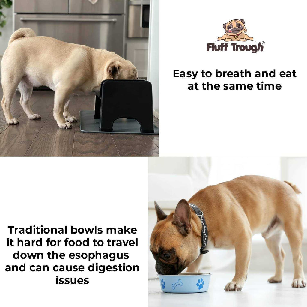 Elevated Dog & Cat Feeder N326653
